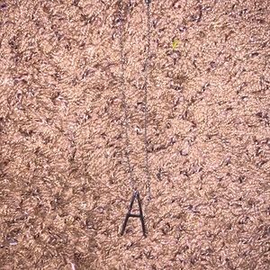 “A” Shaped Necklace